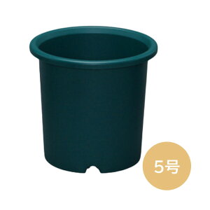 fB[|bg 5(n^[O[) 1 ACXI[} |pi v^[  |bg