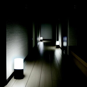 ZT[Cg FLED dr ubN/zCg LSL-MS1 1 ACXI[} lZT[ _