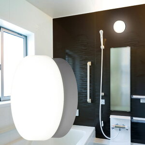 LED|[` p ی` F 1020lm IRCL10N-CIPLS-BS 1 ACXI[} hJ h^
