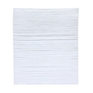 C@ WotB^[ HXF-A25HF 1 ACXI[}