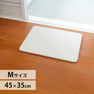 バスマット 珪藻土 Mサイズ SKBM-4535 1枚 アイリスオーヤマ 速乾快適バスマット