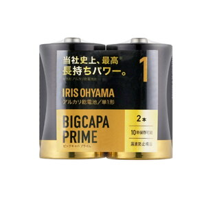 AJdr BIGCAPA PRIME P1` 2P LR20BP/2P 1 ACXI[}