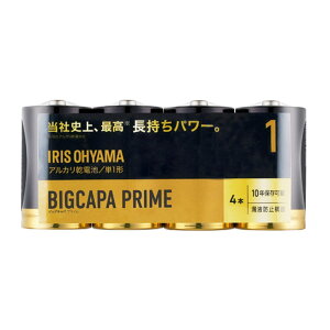 AJdr BIGCAPA PRIME P1` 4P LR20BP/4P 1 ACXI[}