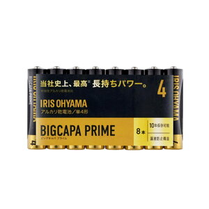 AJdrBIGCAPA PRIMEP4` 8P LR03BP/8P 1 ACXI[}