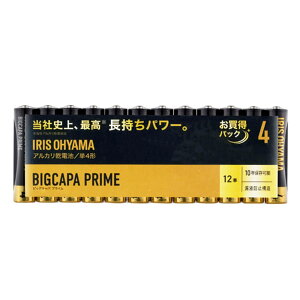 AJdrBIGCAPA PRIMEP4` 12P LR03BP/12P 1 ACXI[}