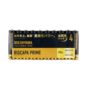 AJdrBIGCAPA PRIMEP4` 20P LR03BP/20P 1 ACXI[}
