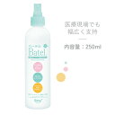 ベーテル保湿ウォーターミストスプレー BW01（250ML） 1本 ベーテル・プラス 24-7602-00