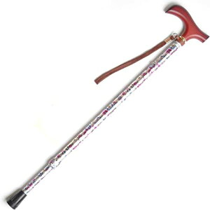 CtXebL Lk^ 009714iX^Cvj EFt@ ԃVo[ a@  Ō NjbN