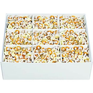 ˂ ɐ 2000_ KQ-215  Ō NjbN a@ ˂񋄃It