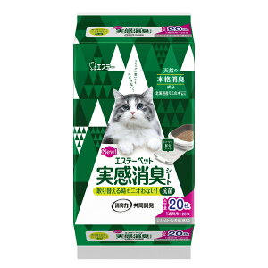 GXe[ybg@LV[g 20@12@ GXe[PRO ybgpi