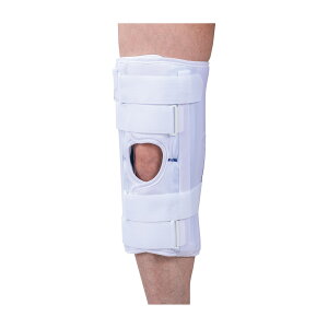 j[u[X 20861(V[gLL) 1 APA 25-4894-07 Œ Ђ G֐ߌŒ T|[^[ GpT|[g Gɑ΍ Ђ⏕ ЂPA pi X|[cpi g Gی nr⏕