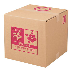 XNbgփ{fB\[v 4222(18L) 1 F 25-4603-00 Vv[ {fB\[v