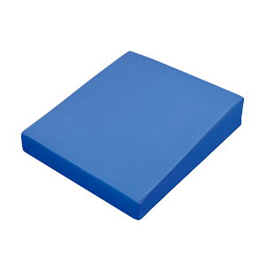 ppNbV({) L-SH-CMT^HT 1 l@۔̔ J[Cu[ 25-5844-01 NbV pی ̈UNbV |WVjOpbh