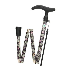 XebL ANeBuO[X(܏S WB3759(ubN) 1{ tWz[ ubN 25-5709-03 XebL ܂肽 