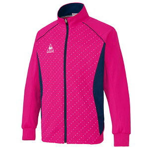 RbN jpWPbg UZL1022-91 (JVXsN) SUC  Ō