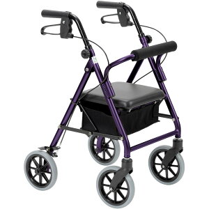 ���s�ԁ@�n�b�s�[III�~�j 117093(���[�Y�S�[���h���^�� �|��