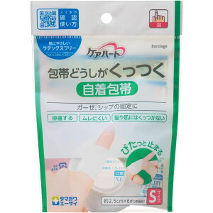 тǂ PAn[g(^}KG[UC) S(2.5CMX6M)1RC