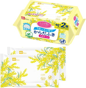 bN(LEC) z lp 炾ӂ 唻^Cv (30×20cm) 40×2P y12܃Zbgz/ vȃV[gł@/{//AGGLXz