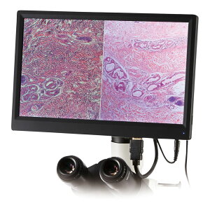 fW^JVXe BMH-1080M 24-7973-03 gÑJ^Ob}cV