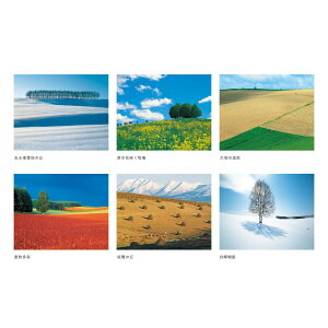 A[gJ_[ Oc^O6Zbg T-7-0 zF