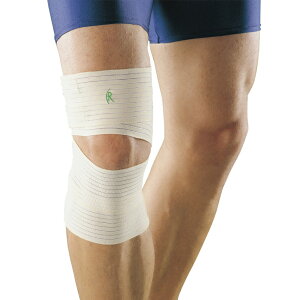 GEӂ͂pGXeBbNbv FR-2120 G֐ߌŒ 25-3509-00 t@[XgCg