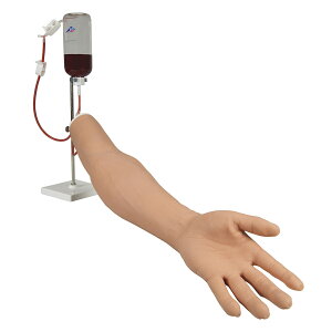 静脈注射トレーニング用モデル P50/1 静脈注射トレーナー 25-3005-00 日本スリービー・サイエンティフィック
