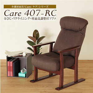 ʍtp[\i\t@ CARE-407-RC rOƋ CeA  K Sn bNX _fUC q l| l炵