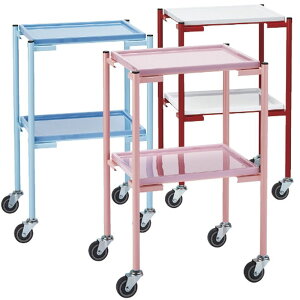 �J���t���i�[�X���S�� YL-NW5R�i���b�h�j 1�� ���g��Ȋ�B 24-4221-02