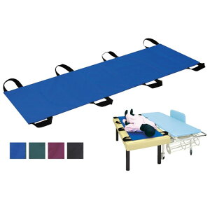 ��V�[�g �O���[�� TB-981�iW480XL1700MM�j 1�� ���c�x�b�h���쏊 24-4531-0002