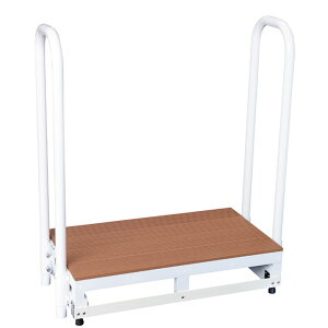 �o���A�t���[����i1�i�E�肷��2�{�j F1-2TD�i�f�b�L�U�C�j 1�� ���g��Ȋ�B 24-7721-01