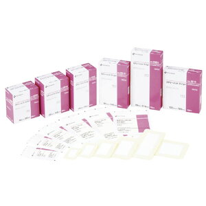 カテリーパッドマイルド NO.0921(90X210)15マイ 1箱 ニチバン 23-3843-05