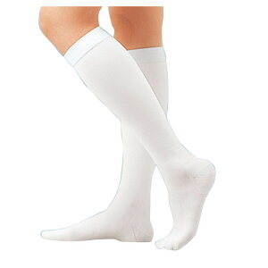 AVNEvJ (nC\bNX) 17421(LL)  1(2{) APA 23-6316-00 \bNX  ނ eXgbLO Ō  a@ {