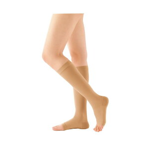 AVN3 (nC\bNX) ܐ斳 18623 (M) CguE 1 APA 23-6318-02 C ×p \bNX ނ݌y ₦΍ PA ̔  ʋC KtBbg