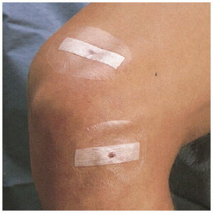 X[GWpwXPAJpj[ eK_[nhbVO W8512i60X47j1zX25tN