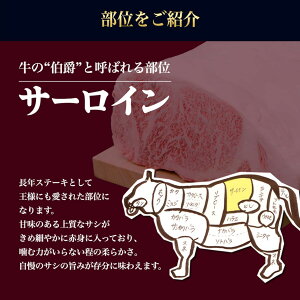 ��������������󥹥ơ���200g&times;2����̵�����ơ������ơ��������渵���եȥץ쥼����������������������������֤��µ������ˤ����֤��뺧�ˤ���ŷ�����󥰥��ƥ��ե�2019£��ʪ��Ϸ������ʧ�����ʥ���ӥ�����������࿦