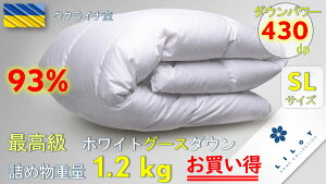 y݌ɏAX[p[Z[zOFFzHѕzc zCgO[X_E93 VOOTCY ENCi H~ 150×210cm O[X93 n@100