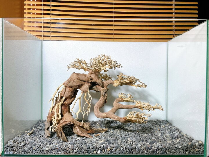 楽天市場 蟠幹盆栽流木 水槽専用アート流木 盆栽アート 盆栽 アクアリウム 流木 天然流木 インテリア 水槽 Matsuyoshi World