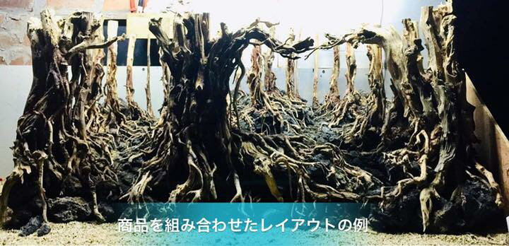 楽天市場】中型深い茂る熱帯雨林（水槽専用アート流木）盆栽アート 