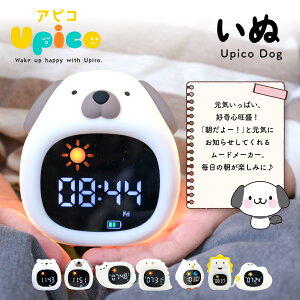 _P10{I11/25 23:59^ڊo܂v q ̎q j̎q uv LN^[ Xk[Y 剹 v VR 킢 LbY A[NbN  qp  Cgt iCg