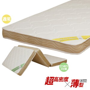 ^|PbgRC 12cm }bgX VO iʏ/O܂j EN120P/EN120P3 |PbgRC}bgX ܂肽 ^ RpNg ixbh tgxbh VXexbh ^}b