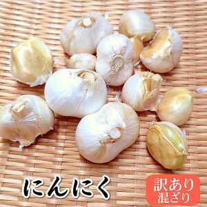 V@ɂɂ o 󂠂荬 /270g/500g/iɌYjLȂjjN@ PA 킯 Y YjjN 󂠂ɂɂ e [ |Cg f