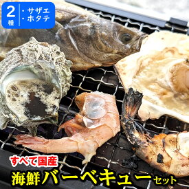 【送料無料】国産 ホタテ (片貝) サザエ 海鮮バーベキューセット 冷凍 帆立 ほたて さざえ つぼ焼き 栄螺 バーベキュー 殻付きホタテ 海鮮 食材 取り寄せ 海鮮バーベキュー BBQセット 魚介類セット 海鮮bbQセット hotate バーベキュー海鮮セット 【smtb-k】【kb】