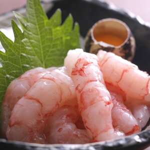 Ԃ̂hgp@{EÃGrނgiⓀj60g@[Hp]iɌlYjlY ł 嗱 ÃGr Ⓚ Y {  CV A}Gr ܂  