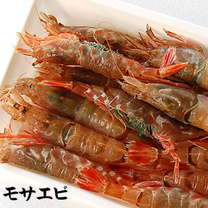 楽天市場 活〆もさえび 冷凍 約0ｇ お刺身可 浜坂産 活〆にしたモサエビを冷凍しました クロザコエビ モサエビ 海老 毎日漁港へ目利き一筋 かにの山米