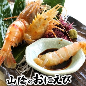 󂠂EɂсiDⓀj召@500gȏ@lY@薔͊k_炩̂ŁA󂠂ƂȂĂ܂BiIjGrASWGrASCVj