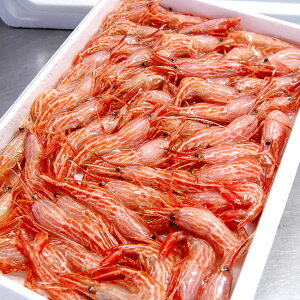 V}GriXWGrjyDⓀz@召TCY@500gȏ@lY@i܂сEсECVj