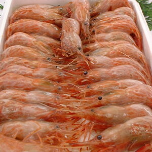 V}GriXWGrjyDⓀz咆TCY@500gȏ@lY₵܂сEсECV