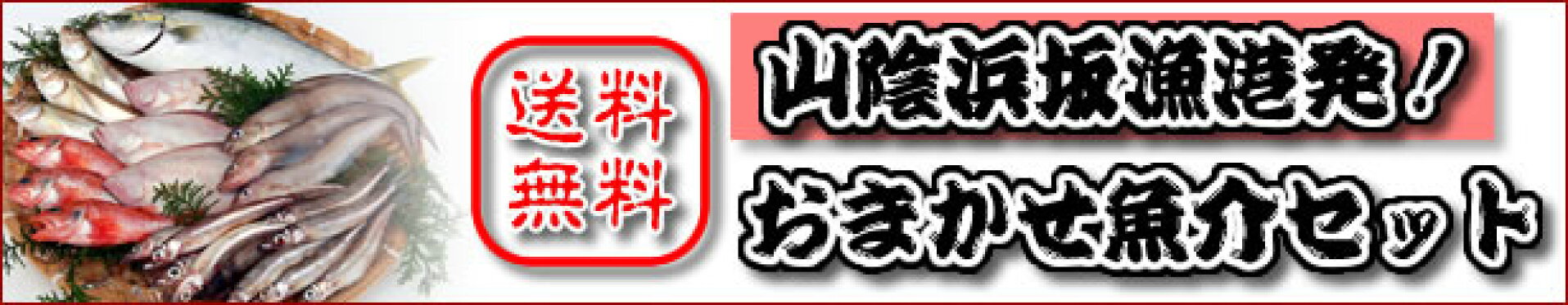 山陰浜坂港直送！【送料無料！】おまかせ鮮魚・魚介セット