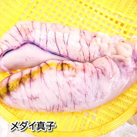 メダイの真子（卵巣）（冷凍）約250-300g（浜坂産）目鯛、めだい、魚卵、珍味