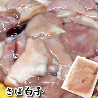 サバ白子（しらこ）【冷凍】約100g【浜坂産】（さば、鯖）しらこ 珍味 酒のつまみ 酒の肴 日本酒 ビール …